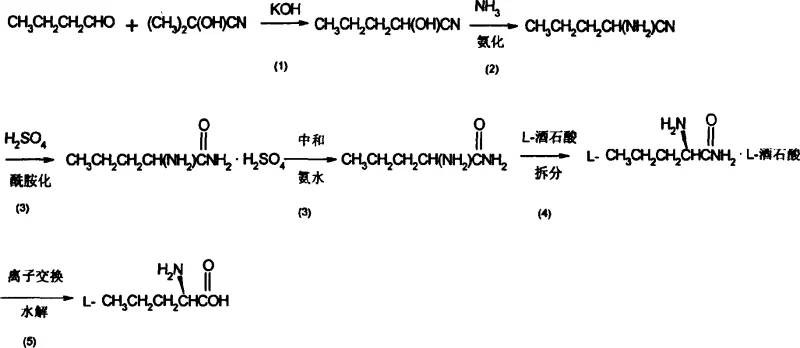 Complete reaction scheme for L-norvaline synthesis showing cyanation, ammonification, hydrolysis, and resolution steps