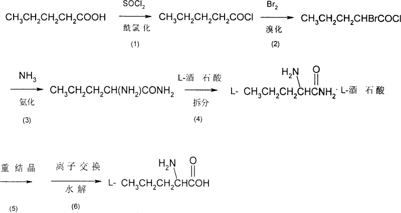 Complete reaction scheme for L-norvaline synthesis from n-valeric acid via bromination and resolution