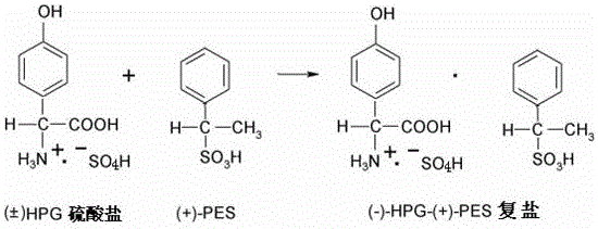 Asymmetric resolution reaction forming the levo-p-hydroxyphenylglycine-phenylethanesulfonic acid complex salt