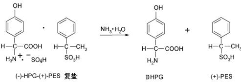 Hydrolysis reaction of the complex salt to release L-p-hydroxyphenylglycine crystals