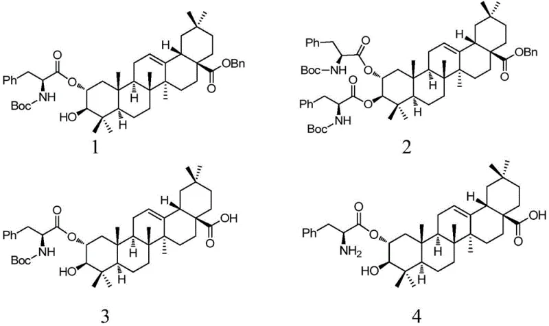 Chemical structures of compounds 1-8 showing L-phenylalanine modified maslinic acid derivatives