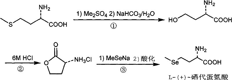 Reaction scheme showing the three-step synthesis of L-(+)-selenomethionine from L-methionine via dimethyl sulfate alkylation and lactone intermediate