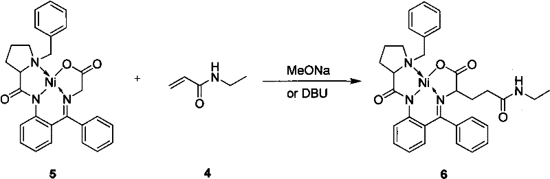 Mechanism of Michael addition between glycine Schiff base Ni(II) complex and N-ethylacrylamide to form theanine complex