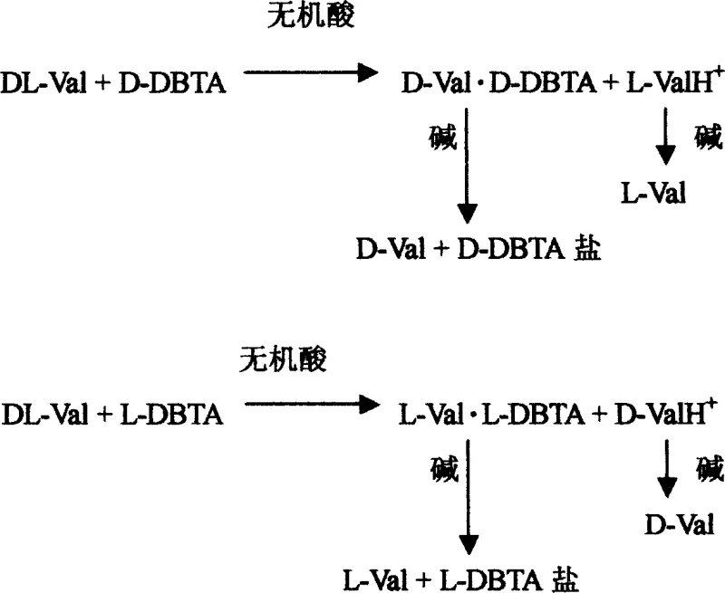 Reaction scheme showing the chemical resolution of DL-Valine into D-Val and L-Val using D-DBTA and L-DBTA resolving agents