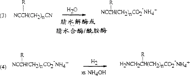 Reaction scheme showing enzymatic hydrolysis of dinitrile to ammonium salt followed by hydrogenation to amino acid salt