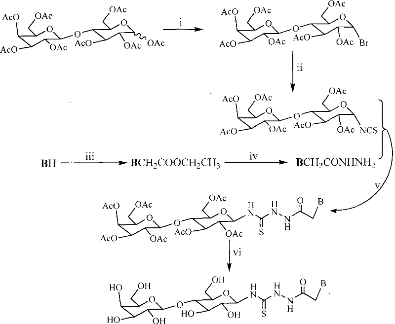 Six-step synthetic route diagram showing the conversion of peracetylated lactose to final lactosyl thiourea heterocyclic compounds