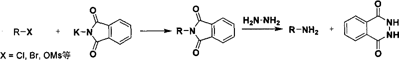 General reaction scheme of Gabriel Synthesis using hydrazine hydrate to release primary amines
