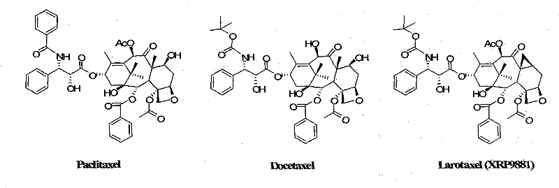 Chemical structures comparing Paclitaxel, Docetaxel, and Larotaxel showing structural evolution