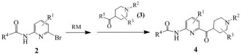 New synthetic route step 1 showing metal exchange and addition reaction