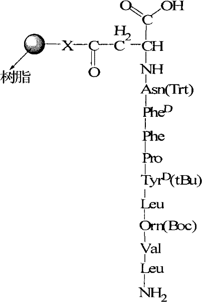 Structure of the cyclization precursor compound showing the exposed N-terminus and side-chain carboxylic acid ready for ring closure