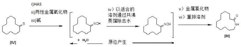 Specific reaction sequence for laurolactam synthesis showing reagents and conditions