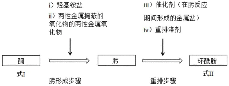 General schematic of the straight-through process showing ketone to oxime to lactam conversion