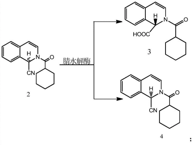 Enzymatic kinetic resolution of racemic nitrile showing selective hydrolysis of S-isomer