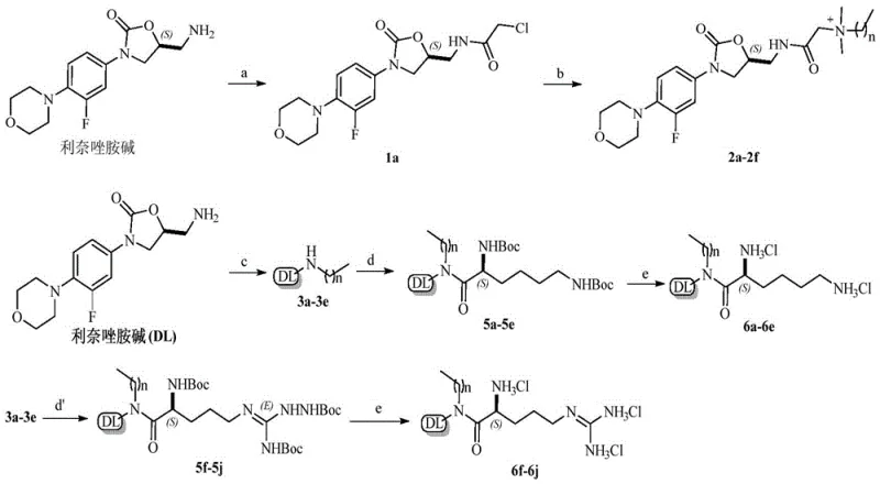 Synthesis route of linezolid base cationic amphiphilic compounds showing acylation and quaternization steps