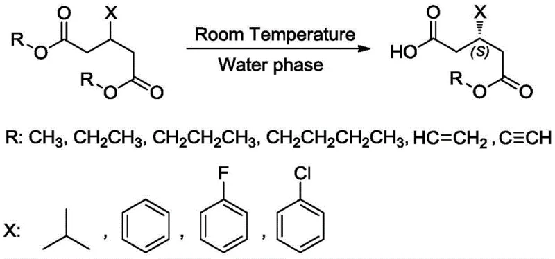 General reaction scheme showing asymmetric hydrolysis of diester substrates to S-monoester products using lipase mutants in water phase