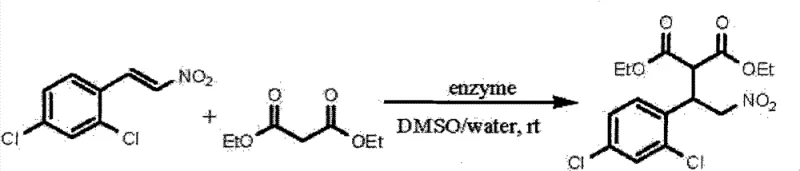 General reaction scheme of Lipozyme TLIM catalyzed Michael addition showing nitroolefin and diethyl malonate substrates