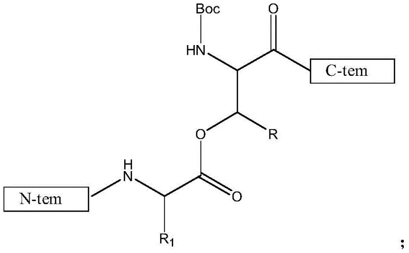 General chemical structure of the Boc-protected Depsipeptide Unit showing the ester linkage between amino acid residues