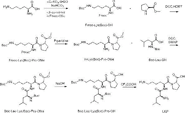 Complete reaction scheme for LKP tripeptide synthesis showing copper complexation and sequential peptide coupling steps