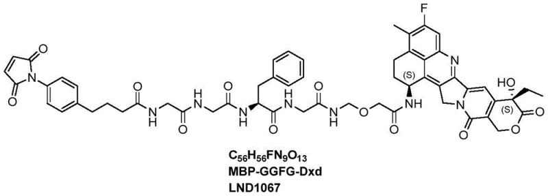 Chemical structure of LND1067 antibody-conjugated drug linker