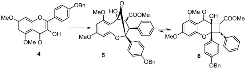 Photocatalytic [3+2] cycloaddition reaction scheme converting intermediate 4 to 5/6