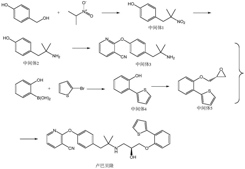 Complete synthetic route of Lubaibailong showing condensation, reduction, substitution, Suzuki coupling, and ring-opening steps