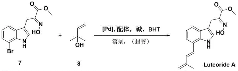 Final Heck coupling and elimination step to yield Luteoride A