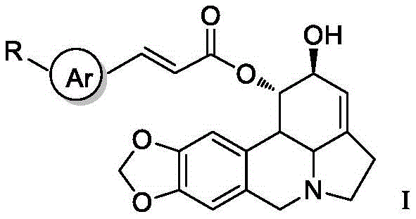 General chemical structure of Lycorine beta-aryl acrylate derivatives showing the core scaffold and variable Ar group
