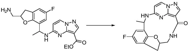Final macrocyclization step for Compound 17 synthesis showing ring closure
