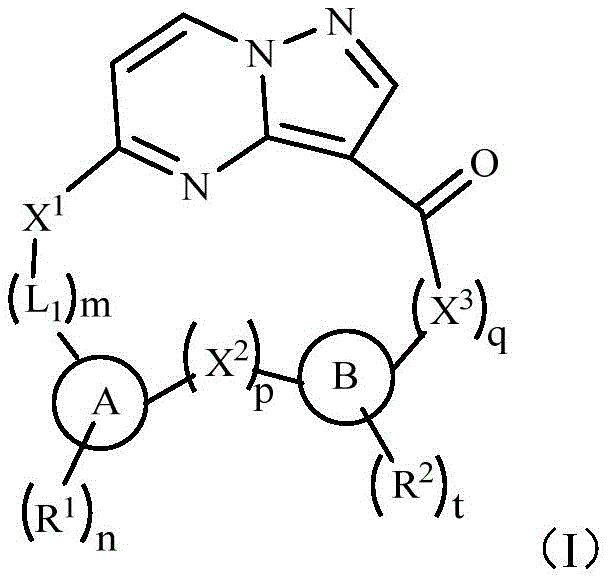 General Formula I of macrocyclic tyrosine kinase inhibitors showing the pyrazolo[1,5-a]pyrimidine core and variable ring systems