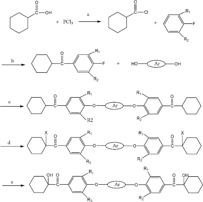 Complete synthetic route for macromolecule difunctional alpha-hydroxy-ketone photoinitiator showing acylation, substitution, halogenation and hydrolysis steps