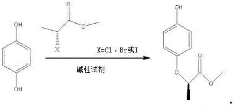 Reaction scheme showing the SN2 conversion of hydroquinone and S-halopropionate to R-MAQ