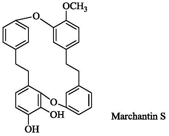 Chemical structure of Marchantin S showing the cyclic bisbibenzyl core