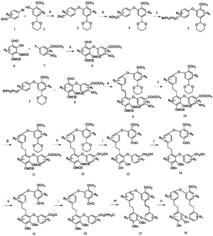 General reaction scheme for the synthesis of Marchantin S derivatives