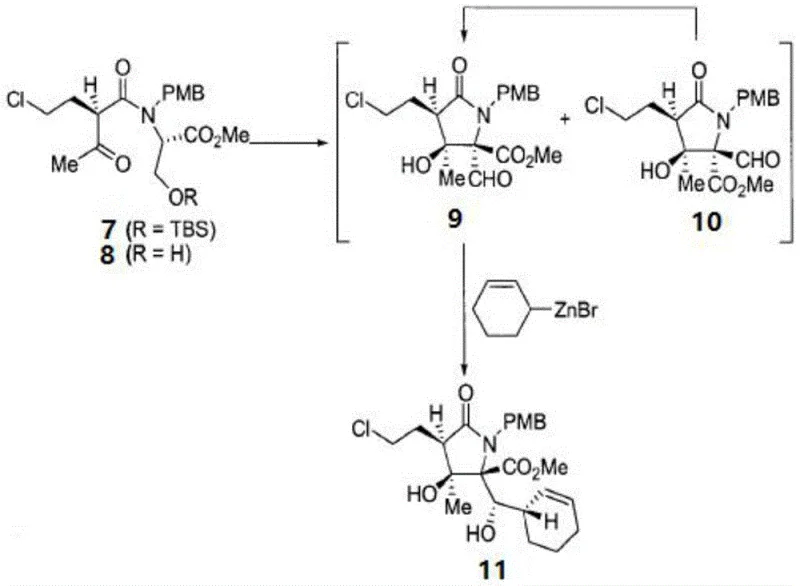 Intramolecular cyclization and organozinc addition to construct the core bicyclic structure