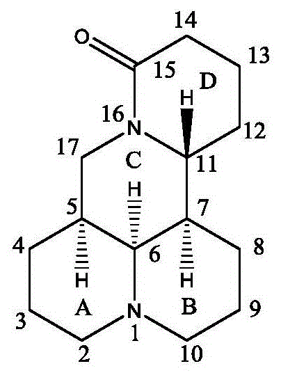 Numbering scheme of the Matrine molecular structure