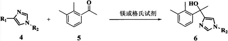 Grignard addition reaction converting the protected imidazole and ketone into the alcohol intermediate