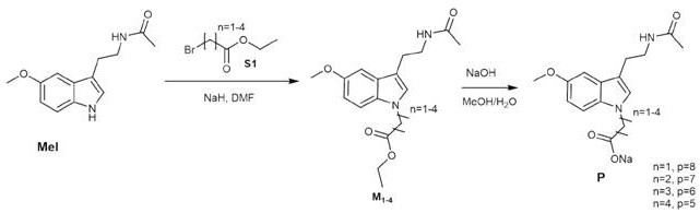 General reaction pathway for synthesizing various melatonin derivatives using bromoesters