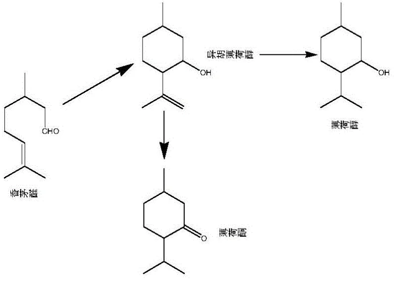 Reaction pathway showing direct cyclization of citronellal to menthone versus multi-step conventional routes