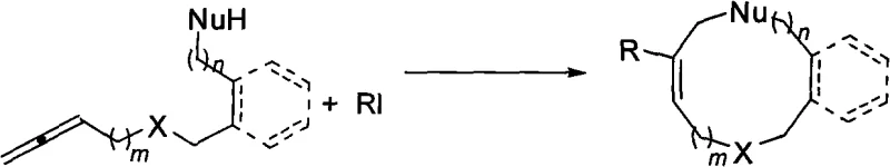 General reaction scheme for synthesizing 9-12 membered cyclic compounds via Pd-catalyzed allene cyclization