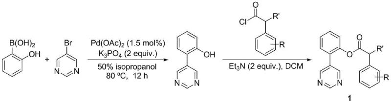 Synthesis of phenylacetic acid derivative Formula I using pyrimidine template strategy