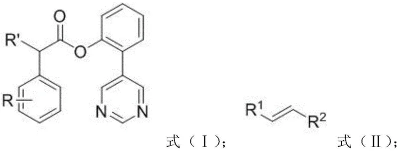General reaction scheme showing meta-alkenylation of phenylacetic acid derivatives using pyrimidine template