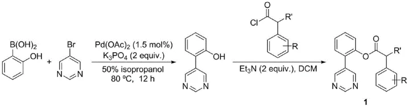 Synthesis pathway of the phenylacetic acid derivative precursor showing Suzuki coupling and esterification