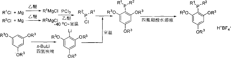 General synthesis route of meta-trialkoxyphenyl dialkylphosphine tetrafluoroborate showing Grignard and lithiation steps