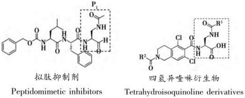 Structural formulas of peptidomimetic inhibitors and tetrahydroisoquinoline derivatives utilizing the diamino acid scaffold