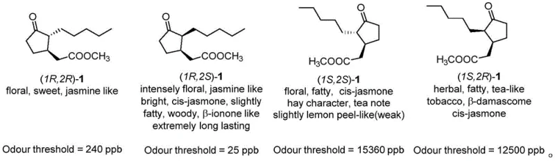 Comparison of four optical isomers of methyl dihydrojasmonate showing odor thresholds and characteristics