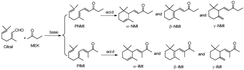 Reaction scheme showing the conversion of Citral and MEK to PNMI and PIMI intermediates, followed by acid-catalyzed cyclization to various methyl ionone isomers