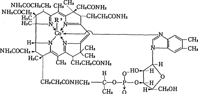 General chemical structure of cobalamin derivatives showing the variable axial ligand R2 position