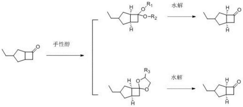 Overall reaction route showing asymmetric acetal formation and hydrolysis
