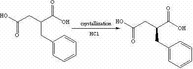 Chiral resolution of DL-2-benzyl succinic acid using (R)-chiral amine