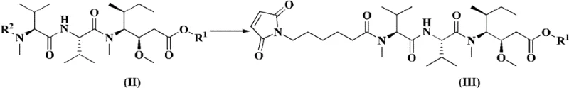 Reaction scheme showing the formation of Formula III from Formula II via amidation
